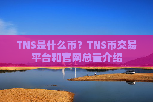 TNS是什么币？TNS币交易平台和官网总量介绍