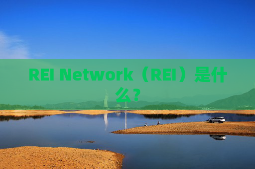 REI Network（REI）是什么？