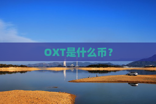 OXT是什么币？