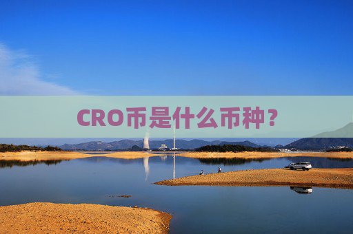 CRO币是什么币种？
