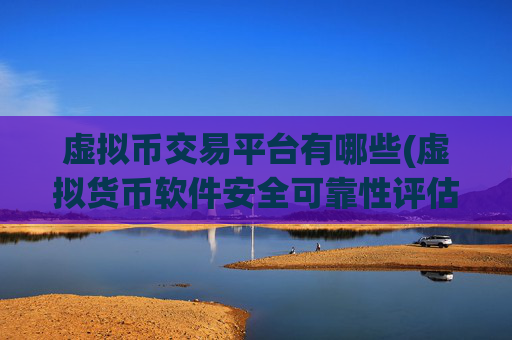 虚拟币交易平台有哪些(虚拟货币软件安全可靠性评估)