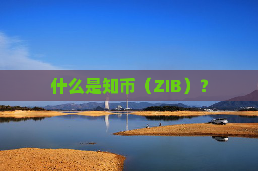 什么是知币（ZIB）？
