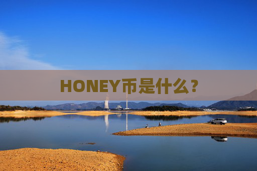 HONEY币是什么？