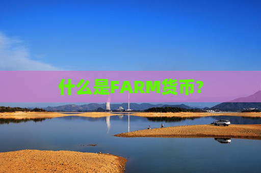 什么是FARM货币?
