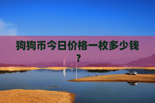 狗狗币今日价格一枚多少钱？