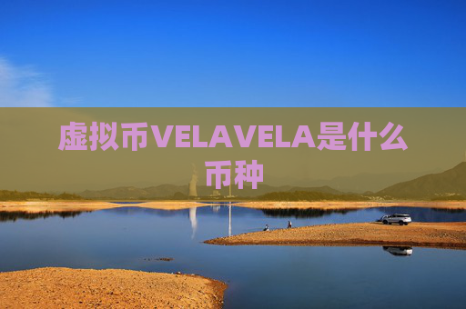虚拟币VELAVELA是什么币种