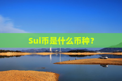 Sui币是什么币种？