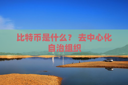 比特币是什么？ 去中心化自治组织