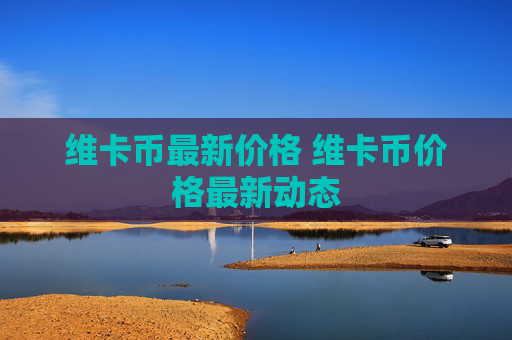 维卡币最新价格 维卡币价格最新动态
