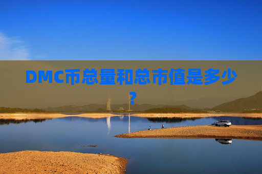 DMC币总量和总市值是多少？