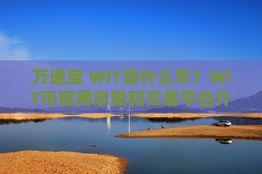 万通宝 WIT是什么币？WIT币官网总量和交易平台介绍