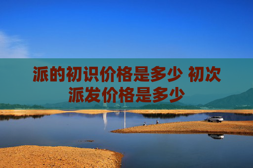 派的初识价格是多少 初次派发价格是多少