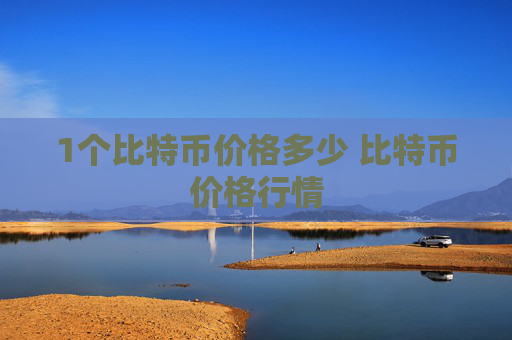 1个比特币价格多少 比特币价格行情