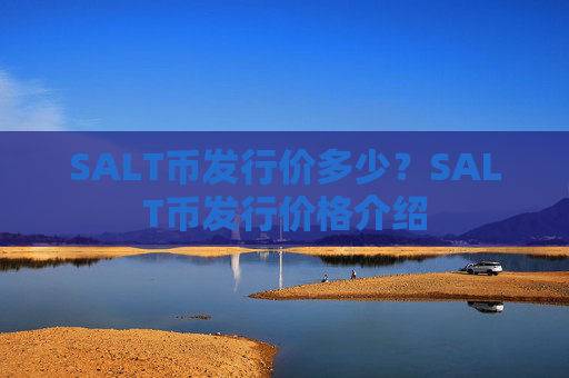 SALT币发行价多少？SALT币发行价格介绍