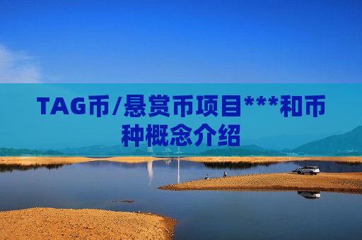 TAG币/悬赏币项目***和币种概念介绍