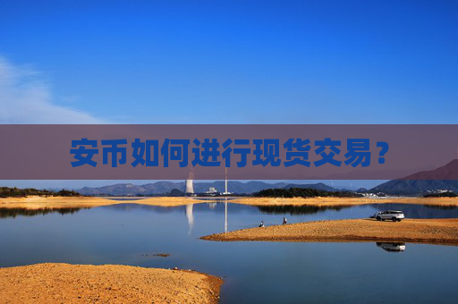 安币如何进行现货交易？
