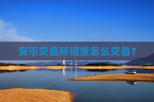 安币交易所现货怎么交易？