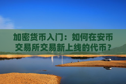 加密货币入门：如何在安币交易所交易新上线的代币？