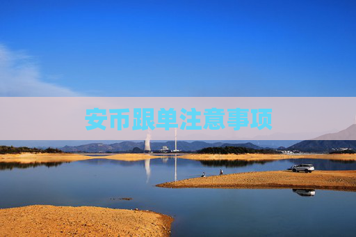 安币跟单注意事项