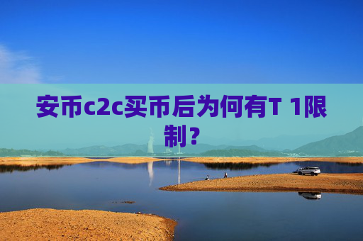 安币c2c买币后为何有T 1限制？