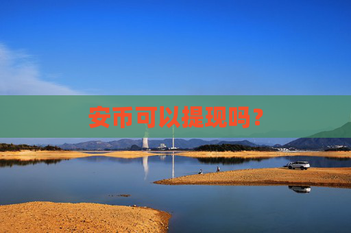 安币可以提现吗？