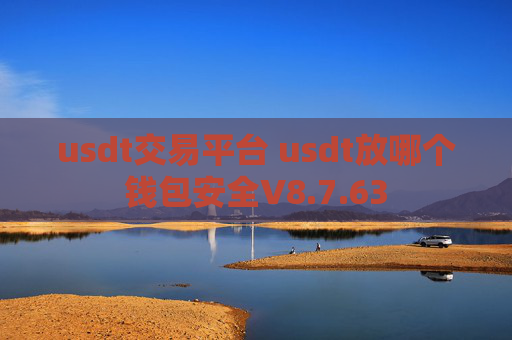 usdt交易平台 usdt放哪个钱包安全V8.7.63