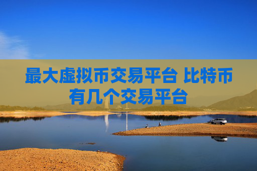 最大虚拟币交易平台 比特币有几个交易平台