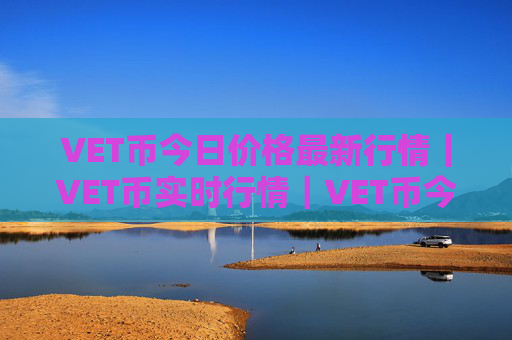 VET币今日价格最新行情｜VET币实时行情｜VET币今日最新走势