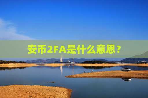 安币2FA是什么意思？