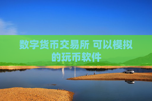 数字货币交易所 可以模拟的玩币软件