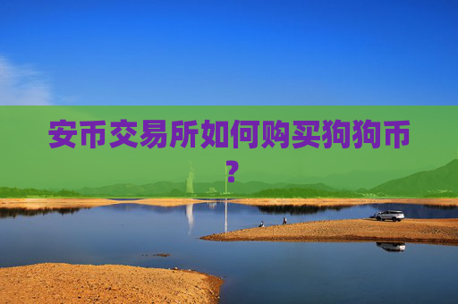 安币交易所如何购买狗狗币？