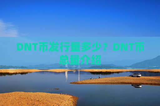 DNT币发行量多少？DNT币总量介绍