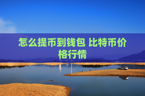 怎么提币到钱包 比特币价格行情