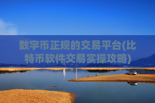 数字币正规的交易平台(比特币软件交易实操攻略)
