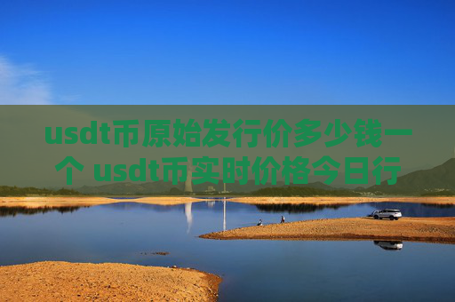 usdt币原始发行价多少钱一个 usdt币实时价格今日行情