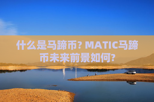 什么是马蹄币? MATIC马蹄币未来前景如何?