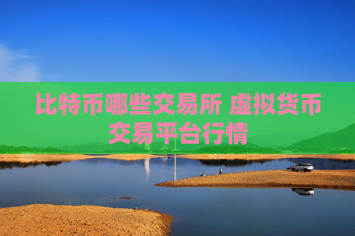 比特币哪些交易所 虚拟货币交易平台行情