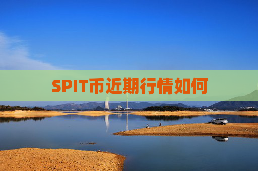 SPIT币近期行情如何