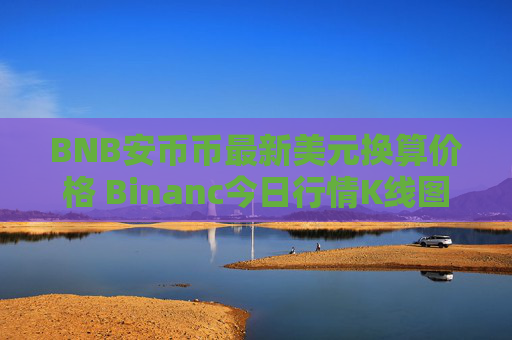 BNB安币币最新美元换算价格 Binanc今日行情K线图