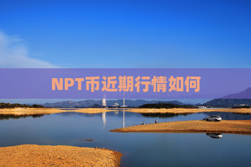 NPT币近期行情如何