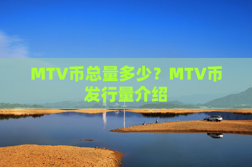 MTV币总量多少？MTV币发行量介绍