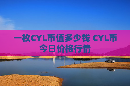 一枚CYL币值多少钱 CYL币今日价格行情