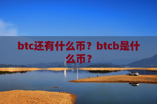 btc还有什么币?btcb是什么币?