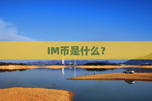 IM币是什么?