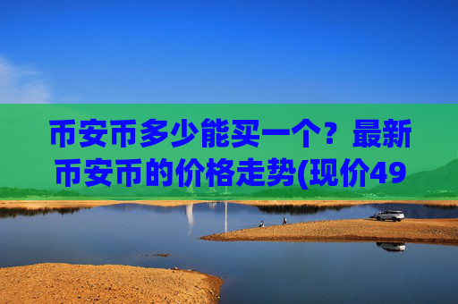 币安币多少能买一个？最新币安币的价格走势(现价4918.83元)