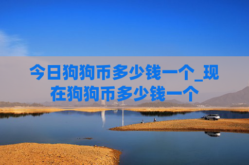今日狗狗币多少钱一个_现在狗狗币多少钱一个