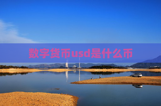 数字货币usd是什么币
