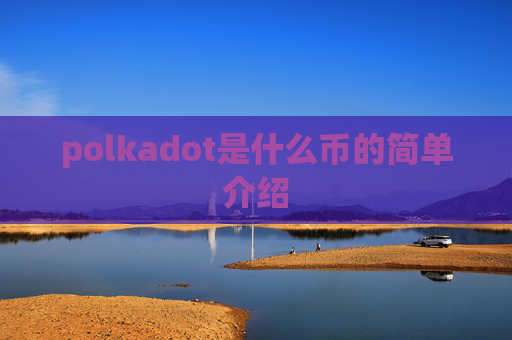 polkadot是什么币的简单介绍
