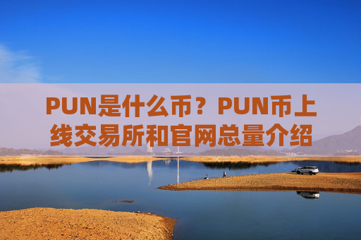 PUN是什么币？PUN币上线交易所和官网总量介绍