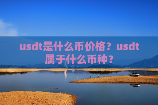 usdt是什么币价格？usdt属于什么币种？